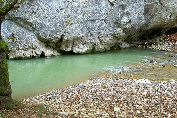 barot-programok-03A638C880-74DD-8A93-E3CC-D3D149F44167.jpg